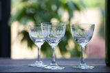 Ovals Liqueur Glass Set of 6